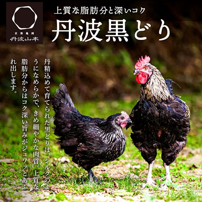 黒鶏の 親子丼 8食分(2食入×4)セット 時短調理 レシピ付 出汁 つゆ 一人暮らし