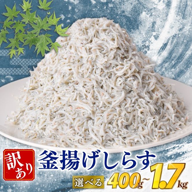 訳あり 釜揚げ しらす 400g 500g 800g 1kg 1.7kg 減塩 無着色 冷凍 高知県 安芸市 ご飯 ごはん 丼 料理 国産 シラス しらす しらすごはん シラスパスタ sirasu shirasu 松村海産 シラス 人気 おすすめ シラス しらす しらすごはん shirasu sirasu SIRASU 人気シラス