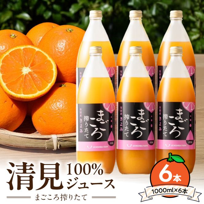 ZE6405n_【まごころ搾りたて】清見 100%ジュース 1000ml 6本