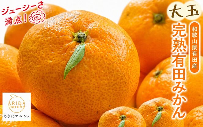 【先行予約】【果汁たっぷり】迫力満点！ 大粒 完熟有田みかん 家庭用 サイズ混合(2L～4L)　約7.7kg(7.5kg+200g)【2026年11月中旬～1月中旬頃に順次発送予定】【ard226A】