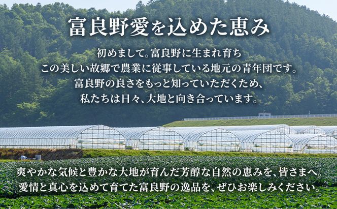 2026年夏～発送 富良野を堪能！贅沢 定期便 年3回  北海道 富良野産 とうもろこし メロン かぼちゃ 野菜 ふらの とうきび