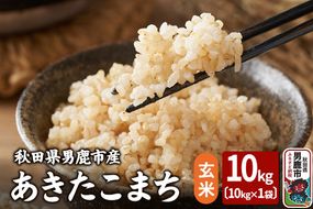 令和7年産 あきたこまち 玄米 10kg 吉運商店 秋田県 男鹿市 お米 お弁当 おにぎり|23_ysu-221001b