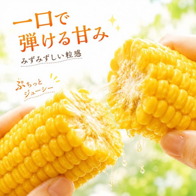 とうもろこし サニーショコラライラ 約5kg (10本前後) 冷蔵便 朝採り スイートコーン トウモロコシ 産直 産地直送