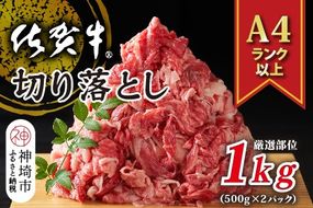 艶さし！【A4～A5】佐賀牛切り落とし 1kg(500g×2P)【肉 牛肉 ブランド牛 黒毛和牛 ふるさと納税】(H112285)