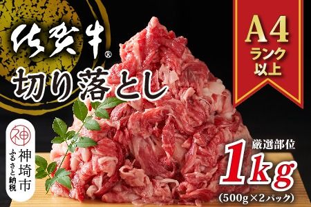 【先行受付 R6年12月中旬より発送】艶さし！【A4～A5】佐賀牛切り落とし 1kg(500g×2P)【肉 牛肉 ブランド牛 黒毛和牛 ふるさと納税】(H112124)