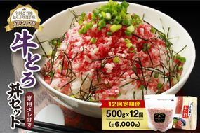 【12回定期便】人気の牛とろ丼セット 500g 専用タレ付き_S006-0071