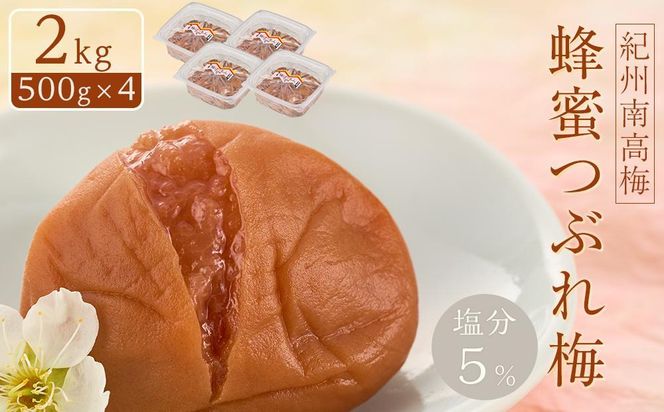 紀州南高梅 蜂蜜つぶれ梅 塩分5％ 2kg (500g×4) ［Kn23］ 303446_CQ023