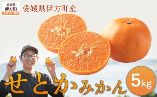 【先行予約】せとか5kg ※離島への配送不可 （2027年2月10日より順次発送予定） IKTAG004 