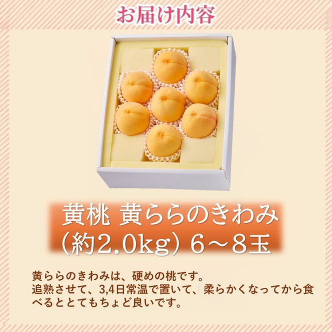 2026年 早期受付 岡山県産 黄桃 黄ららのきわみ (約2.0kg) 6～8玉 桃 もも 果物 フルーツ