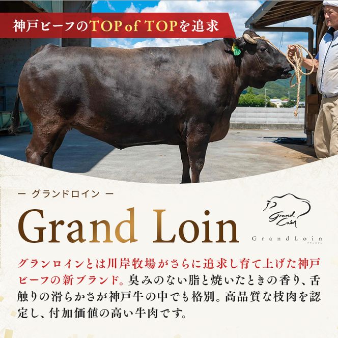 神戸ビーフ 神戸牛 牝 6か月連続 お届け 定期便 最高級セット 食べ比べ 焼肉 すき焼き しゃぶしゃぶ ステーキ 冷凍 肉 牛肉 すぐ届く お肉 和牛 食材 グルメ ブランド牛 日本産 国産 夕飯 晩御飯 夜ごはん
