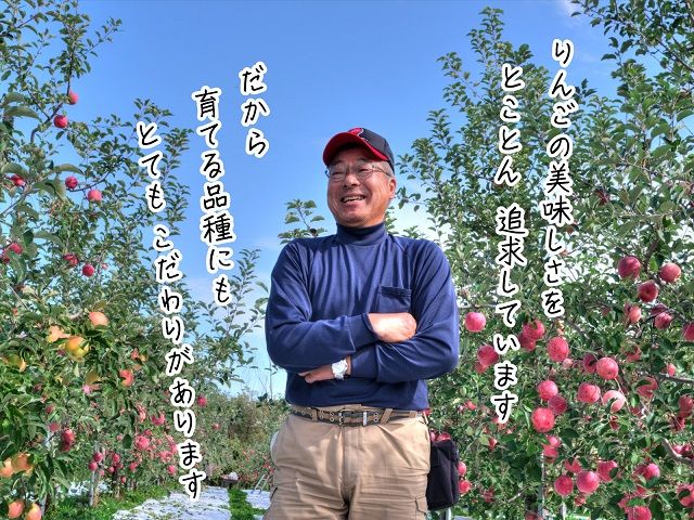 りんご 青森 早生ふじ 涼香の季節 リンゴ 約 5kg （14～18玉） 青森県 鰺ヶ沢町産 ヒバリノ園 フルーツ 果物 白神山地 林檎 ※オンライン決済のみ 