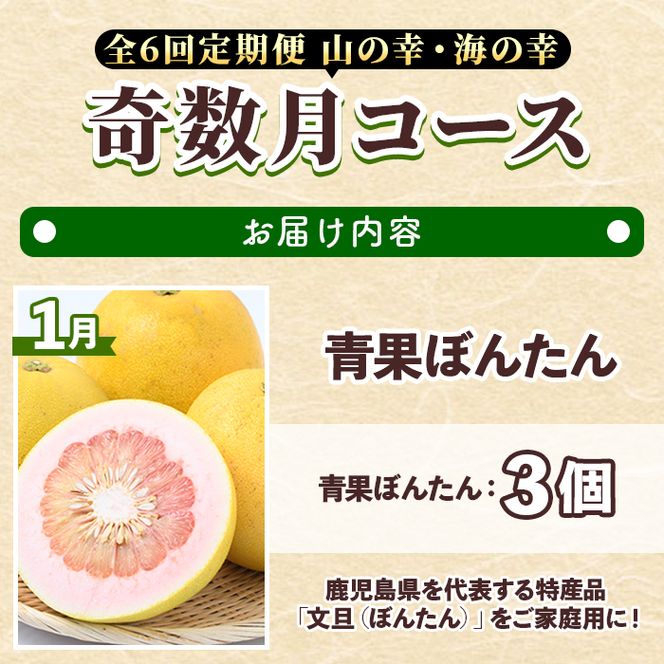 ＜定期便・全6回(奇数月)＞阿久根市の山の幸・海の幸(ぼんたん・不知火・タカエビ・メロン・伊勢海老など)国産 柑橘 みかん フルーツ 果物 魚介 頒布会【松永青果】akn053-37