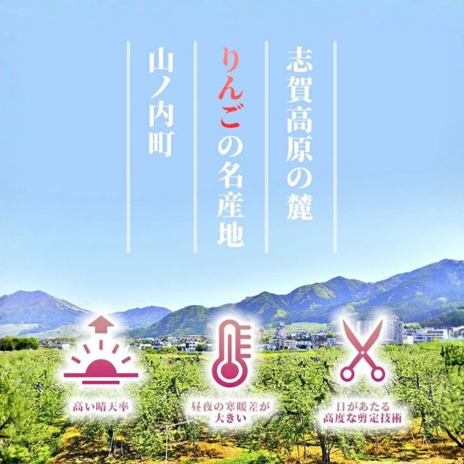 【2026年11月発送】ぐんま名月 秀品 約3kg 7～11玉 りんご 果物 信州 長野