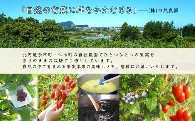 北海道産 プルーンシロップ漬け ブルーベリーソース ブルーベリージャム 計3個 ジャム瓶 詰め合わせ フルーツソース プルーン ブルーベリー フルーツ 果物 コンポート 自然農園 お取り寄せ ギフト 産地直送 