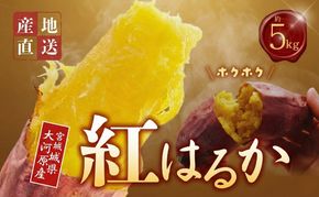 さつまいも 約5kg 紅はるか サツマイモ 宮城県産 甘い 秋 冬 スイーツ いも 産地直送 宮城県 大河原町