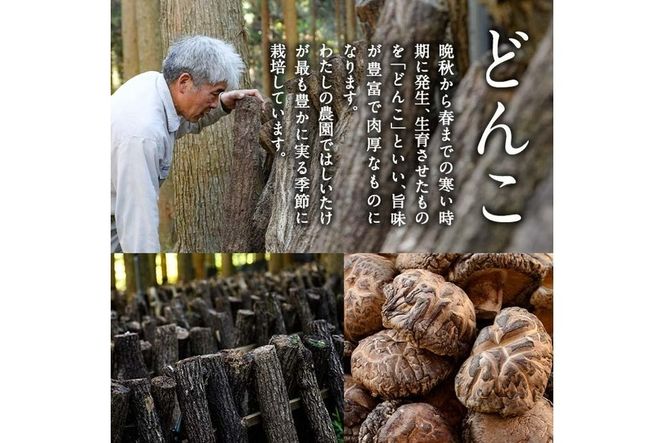 戻しいらず椎茸どんこ・中肉・小粒の3点セット (合計300g・100g×3種) 原木栽培 干し椎茸 乾椎茸 しいたけ きのこ 出汁 大分県 佐伯市 【FR01】【かやの椎茸屋】