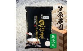 令和7年産　魚沼産コシヒカリ　無洗米　5kg | 米 コメこしひかり 精米 ブランド米 お取り寄せ 十日町市