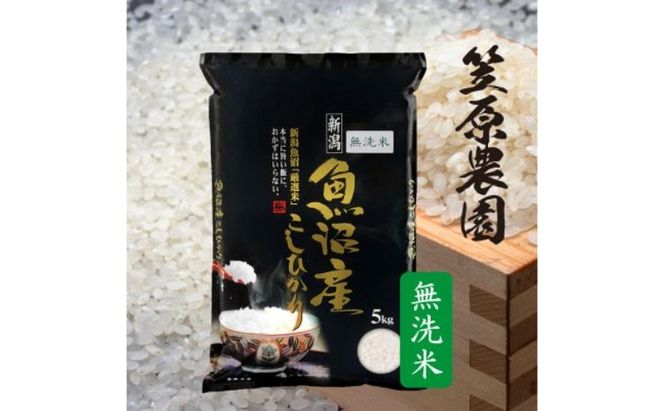 令和7年産　魚沼産コシヒカリ　無洗米　5kg | 米 コメこしひかり 精米 ブランド米 お取り寄せ 十日町市