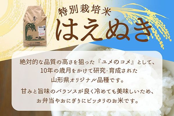 【新米受付】令和8年産 特別栽培米 はえぬき 10kg 石垣農園 5kg×2袋 2026年産 ブランド米 米 国産 単一原料米 山形 庄内平野 コシヒカリの原点、亀の尾発祥の地 庄内【R8.10月以降発送開始/入金期限：2026年9月15日】