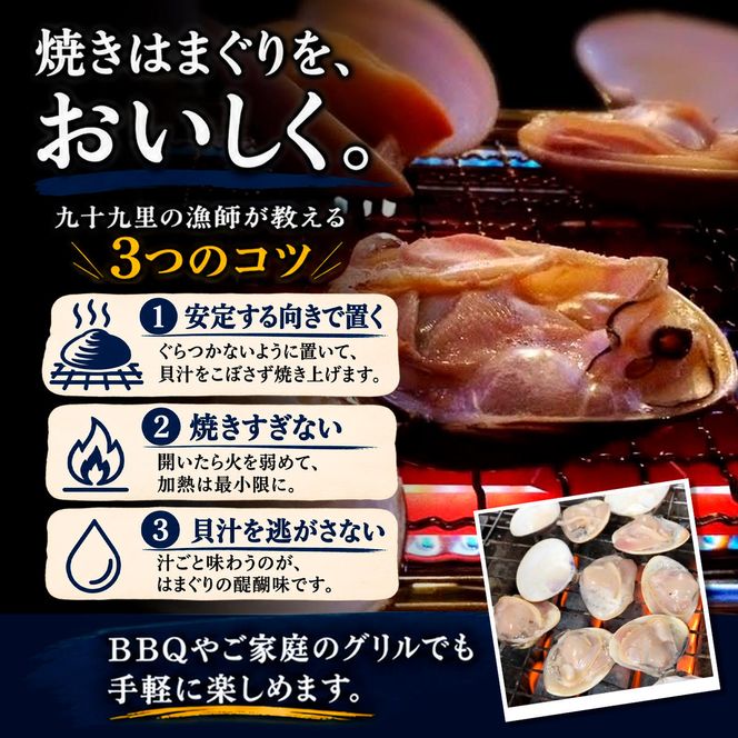 はまぐり 千葉 九十九里産 天然はまぐり 2.5kg 貝 海鮮 海産物 海の幸 魚介 魚介類 水産 水産物 はまぐり鍋 バーベキュー BBQ お吸い物 国産 天然 ハマグリ 蛤 絶品九十九里の”味” 産地直送 冷蔵 冷蔵配送 千葉県 九十九里 九十九里町