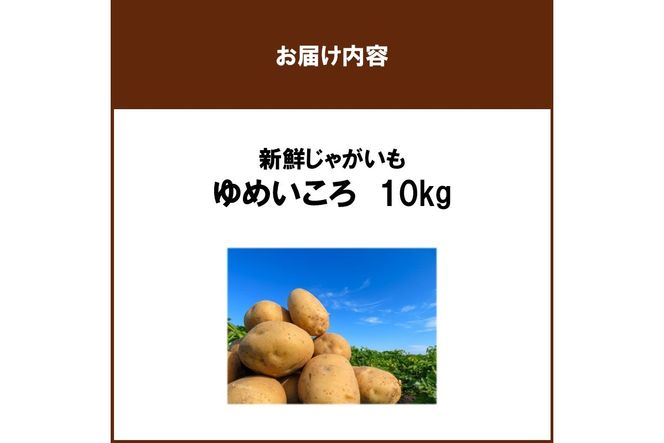 【予約：2026年10月上旬から順次発送】JAきたみらいから直送する新鮮じゃがいも「ゆめいころ」10kg (JAきたみらい JA 直送 じゃがいも いも 芋 ジャガイモ)【104-0019】