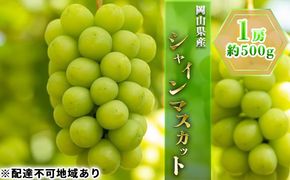 ぶどう 2027年 先行予約 シャイン マスカット 1房 約500g ブドウ 葡萄  岡山県産 国産 フルーツ 果物 ギフト
