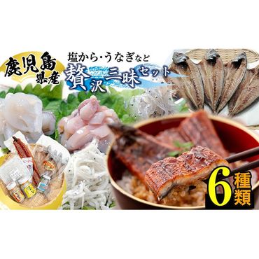 鹿児島県産贅沢三昧セット!鰻蒲焼、アジの干物、釜揚げちりめん、塩辛3種食べ比べ 計6種! b5-181