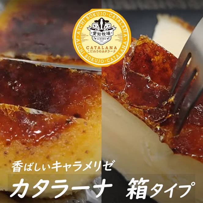 【テレビで紹介されました！】愛知牧場 冷凍スイーツセット（アイスクリーム 12個・カタラーナ 2箱・半熟 チーズケーキ 2箱） お菓子 焼菓子 フルーツ 新鮮 ミルク バニラ チョコ いちご 抹茶