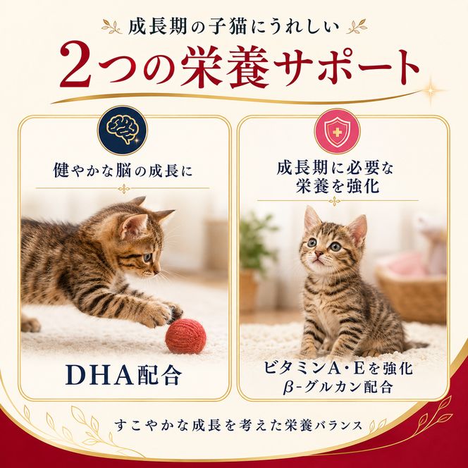 ビューティープロ キャット 子猫用 12ヵ月頃まで 1.5kg ｘ8(ケース単位) キャットフード