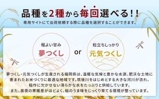 らくらくお米便 半俵コース （ 30kg ） 利用権 選べる夢つくし ・ 元気つくし お米 米 こめ コメ 白米 白飯 飯 ご飯 おにぎり ブランド米 ブランド 福岡県産 国産 定期 定期配送 定期便 精米 玄米