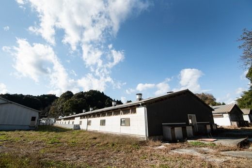 3か月連続お届け 豚肉定期便！鬼北町の清らかな自然で育てた ふれ愛 媛ポーク 約2kg【3回お届け】＜肉 お肉 豚肉 銘柄豚 ブランド肉 定期便 豚ロース 豚モモ 豚バラ 豚小間切れ おかず しゃぶしゃぶ 愛媛県 鬼北町＞