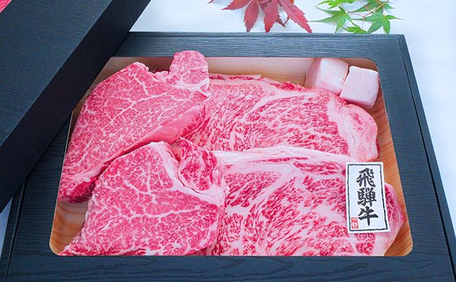 【数量限定】【飛騨牛】海津市産ステーキプレミアムセット 【配達不可：離島】 お肉 牛肉 ステーキ用 国産 岐阜県産 ブランド牛 夕飯 記念日 ディナー 希少部位 赤身 とろける 柔らかい サシ 霜降り ボリューミー 