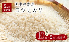 天水の恵米「コシヒカリ」白米50kg（10kg×5回のお届け） お米 5回便