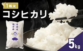 令和7年産 コシヒカリ 5kg（一等米・神谷農園） 米 お米 こしひかり 若狭町