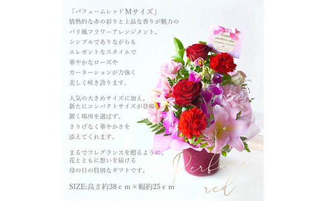 【母の日】パフュームレッドMサイズ＜お届け日：2026年5/8～5/10 当店おまかせ ＞母の日カード付き【 母の日 ギフト アレンジ 花 贈り物 大阪府 門真市 】 272230_BG115