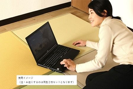 ユニットたたみ半畳サイズ2枚セット【黄金(こがね)】 【和紙表 撥水加工 変色しづらい 職人 本格派 やすらぎ ごろ寝 昼寝 国産 手作り】(H075109)