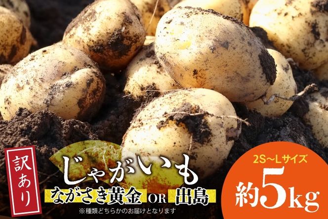 BH050 じゃがいも 訳あり ながさき黄金 出島 約5kg [ 野菜 訳アリ 芋 ジャガイモ 5キロ ほくほく 先行予約 常備野菜 国産 贅沢宝庫 長崎県 島原市 ]