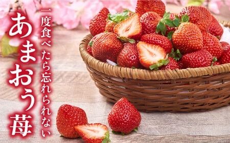 【先行予約】【全2回定期便】糸島産【春】 あまおう 4パック 計1kg 【2026年2月上旬以降順次発送】糸島市 / 南国フルーツ株式会社 [AIK026] いちご ギフト イチゴ 食べ比べ 苗 タルト フルーツ 果物