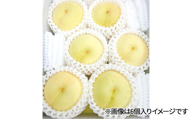 桃 2026年 先行予約  岡山県産 白桃 冬桃がたり 6個入り 約1200g もも モモ 岡山県産 国産 フルーツ 果物 ギフト 