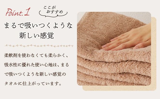 100F062 MAISON BLANC フェイスタオル テラコッタ 20枚【タオル 泉州タオル 単色 吸水 普段使い 無地 シンプル 日用品 ふわふわ ふかふか 家族 ファミリー】