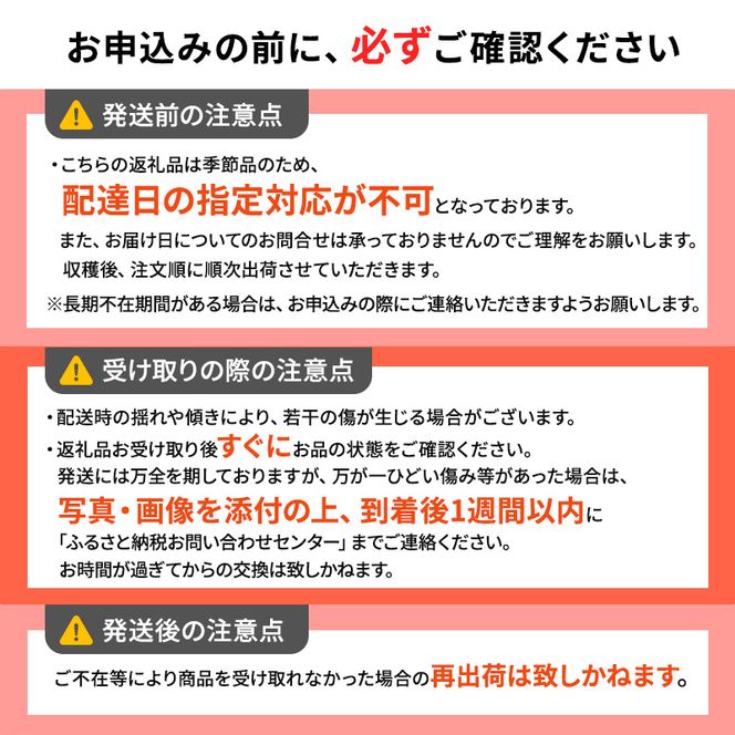 1月発送【 糖度保証 】家庭用 葉取らず サンふじ 約 3kg【 訳あり 】鶴翔りんごGAP部会 青森県産 津軽産 リンゴ 林檎 果物 フルーツ デザート 甘味