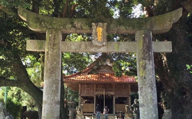 いとしま1泊2日プレミアム 1名様分 糸島市 / VISIT九州[ASO002] バスツアー 旅行 日帰り 買い物 カフェ 食事 記念日 誕生日 ギフト