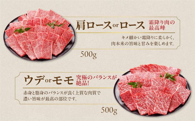 畜産農家応援! 宮崎牛焼肉2種セット500g×2パック_AC-N204