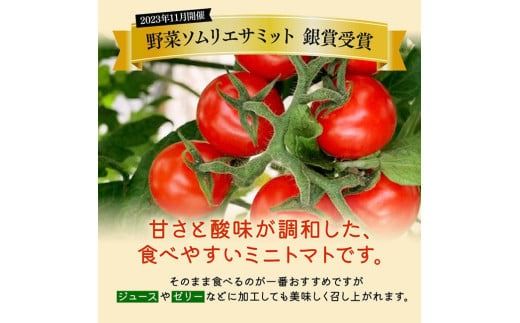 宮崎県産完熟ミニトマト「アルル」2kg 【 新鮮 アルル ミニトマト とまと 野菜 産地直送 宮崎県産川南町産 送料無料 】[D11802]