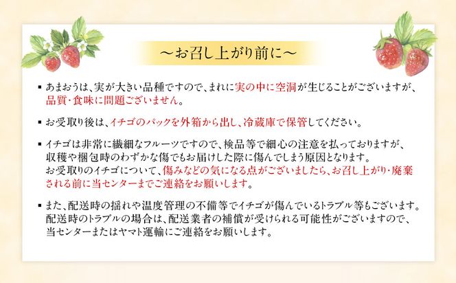 1月より順次発送!「博多あまおう」EX　贈答用化粧箱　約450g 2箱【ほたるの里】_HA0753