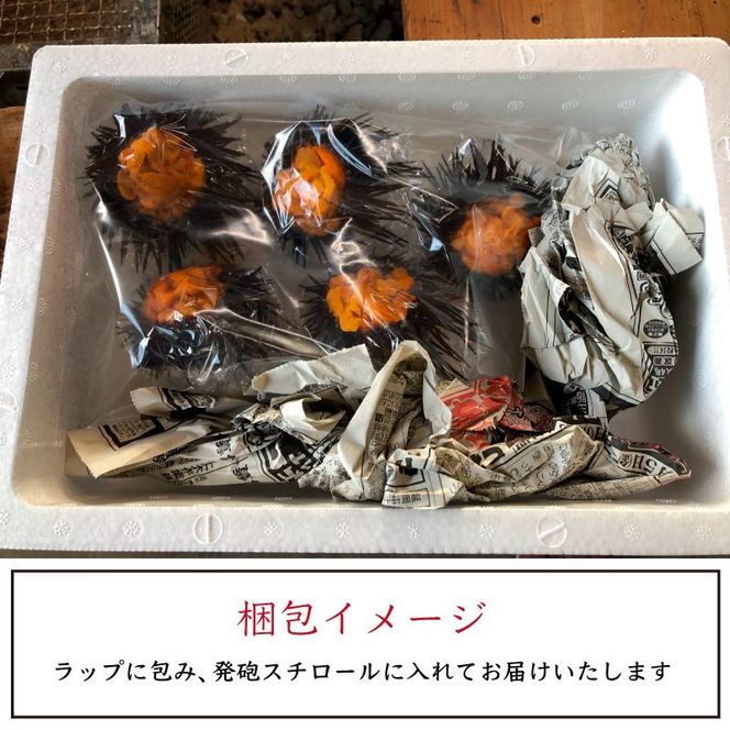 日豊海岸どれ 延岡産 天然ウニ（5個）　N014-YZB529