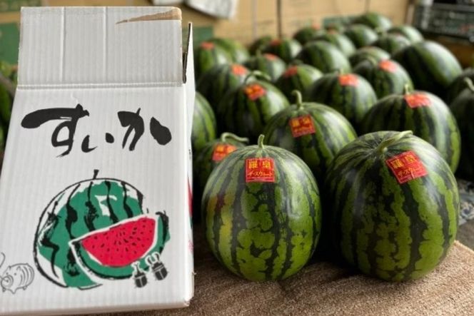 2026年産 スイカ 羅皇ザ・スウィート 6kg ｜茨城県産 産地直送 甘い あまい ※2026年6月～発送