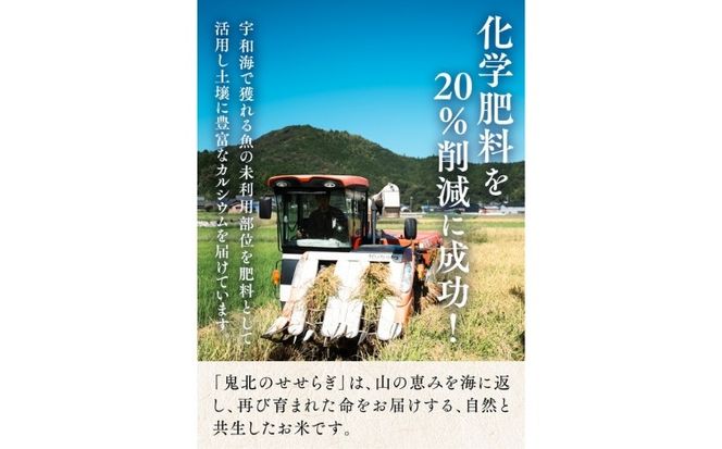 【R7年産】【自然環境米】鬼北のせせらぎ（コシヒカリ）5kg×2 ｜ お米 お米不足 お米品薄 おいしい お米 事業者支援 送料無料 白米 精米 国産 限定 ごはん ご飯 白飯 ゴハン 愛媛県産 鬼北町 ※2025年9月下旬頃より順次発送予定