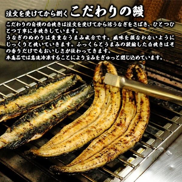【急速冷凍】北川鰻の白焼き（2尾） N010-YA665