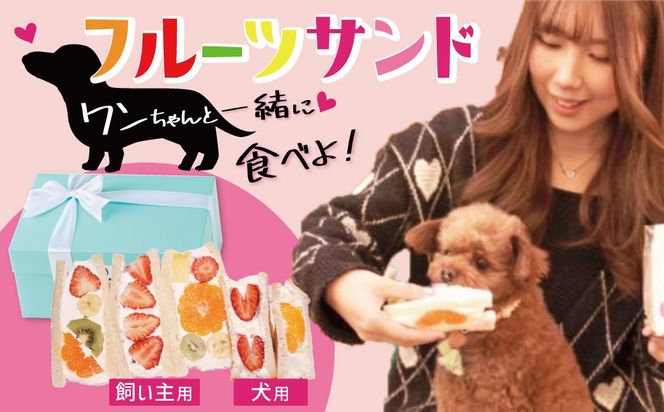 甘さ控えめ！八百屋が厳選したワンちゃん＆飼い主様フルーツサンドセット 5個セット フルーツ フルーツサンド 犬 愛犬 一緒 果物 くだもの H151-017